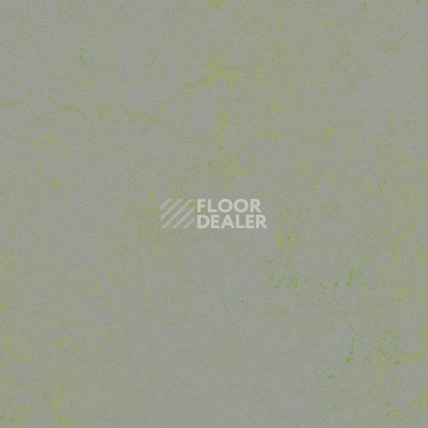 Линолеум Forbo Marmoleum Decibel on Order 373635 green shimmer фото 1 | FLOORDEALER